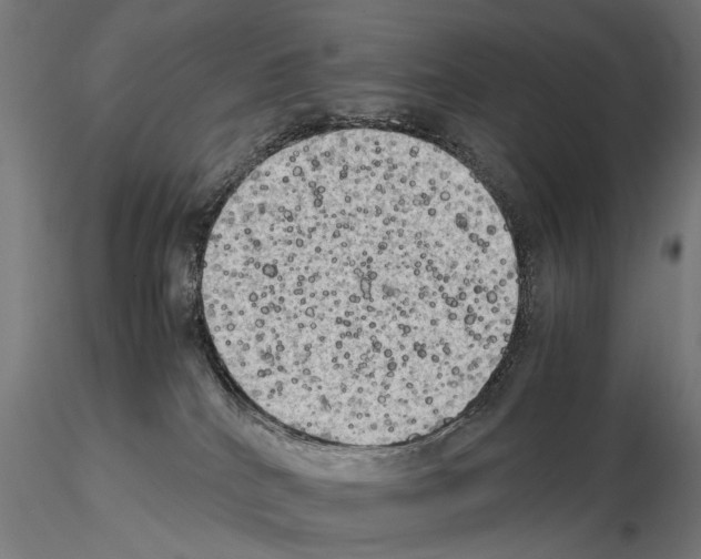 X0000115100040200912081309