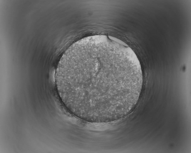 X0000115100041200912081309