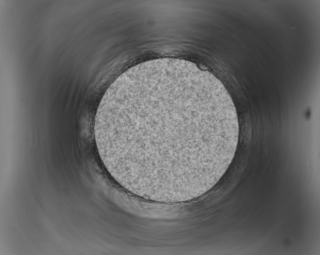 X0000115100044200912081309