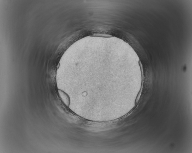 X0000115100045200912081309