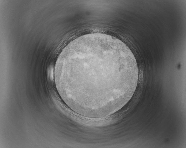 X0000115100046200912081309