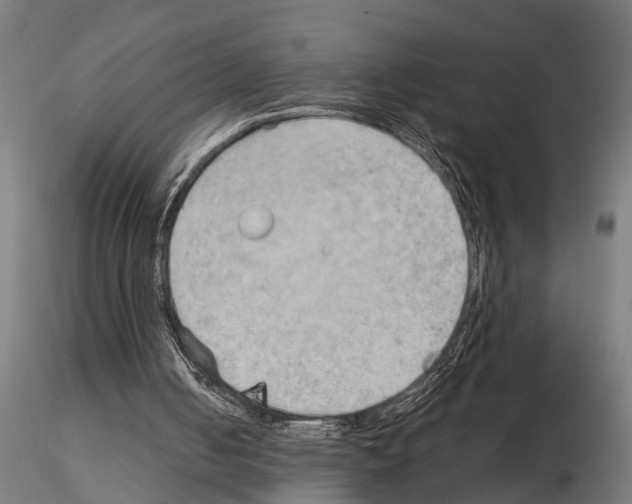 X0000115100050200912081308