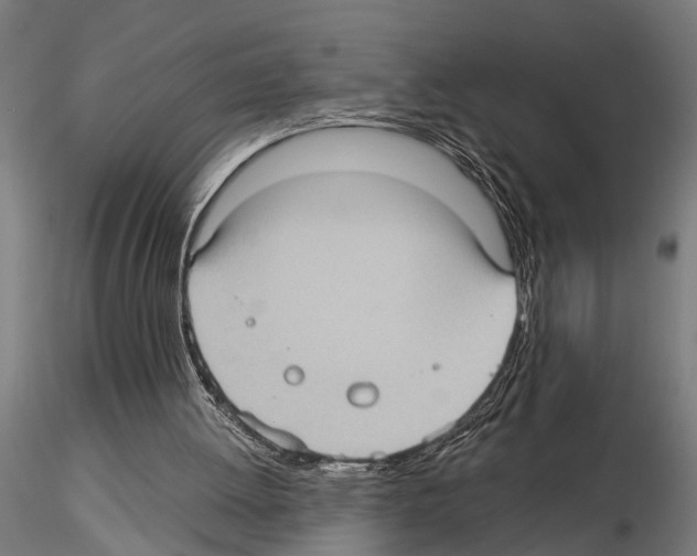 X0000115100052200912081308