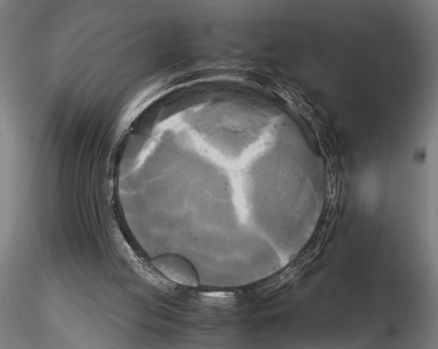 X0000115100053200912081308