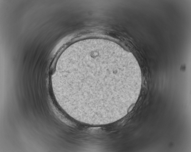 X0000115100054200912081308