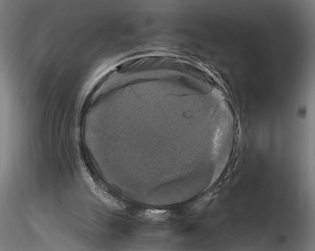 X0000115100055200912081308