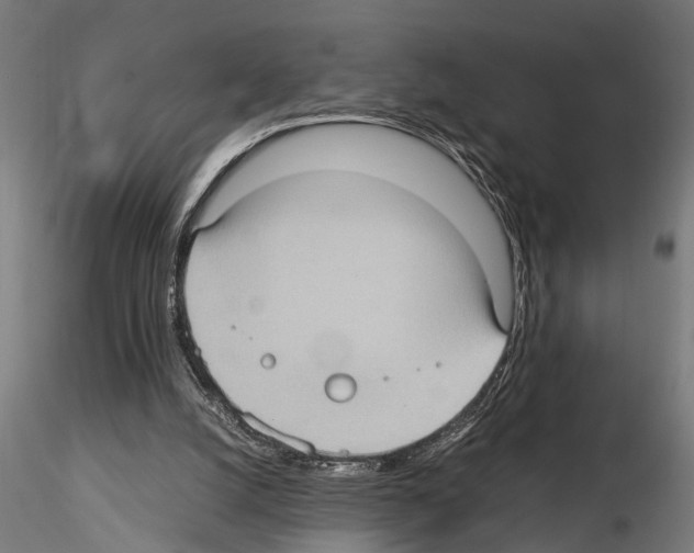 X0000115100056200912081308