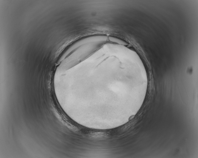 X0000115100058200912081308