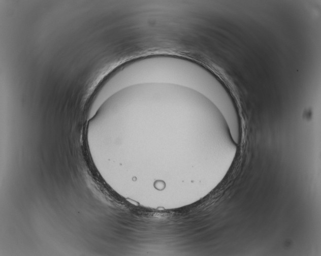 X0000115100060200912081308