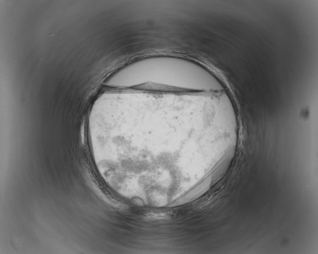 X0000115100061200912081308