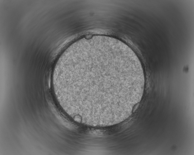 X0000115100062200912081308