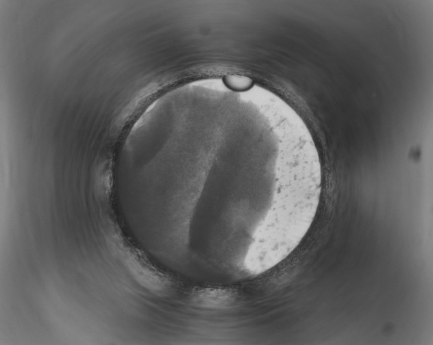 X0000115100063200912081308