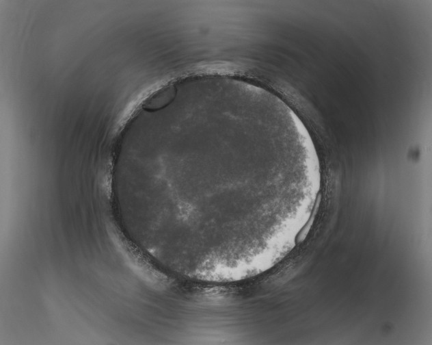 X0000115100064200912081308