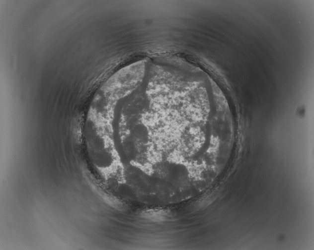 X0000115100065200912081308