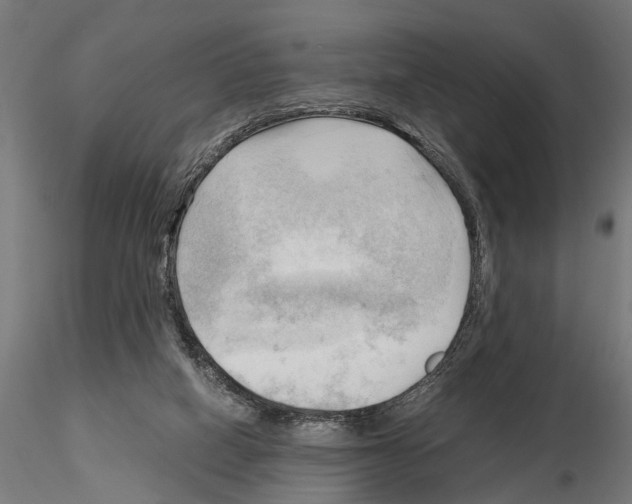 X0000115100066200912081308