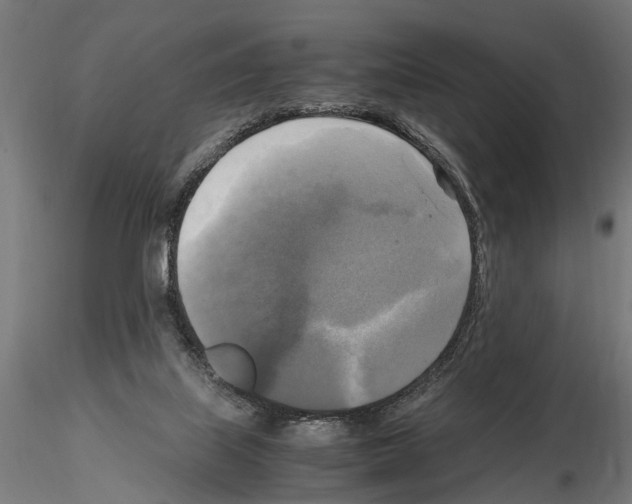 X0000115100067200912081308