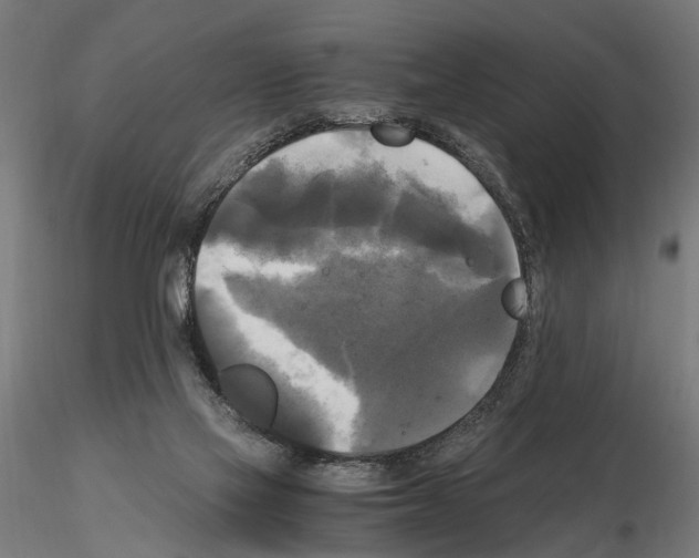 X0000115100069200912081308