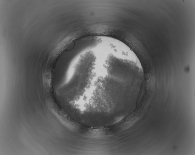 X0000115100072200912081308