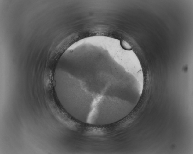 X0000115100073200912081308