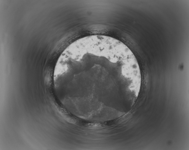 X0000115100074200912081308