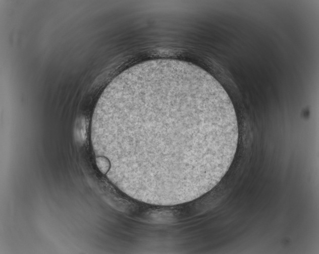 X0000115100075200912081308