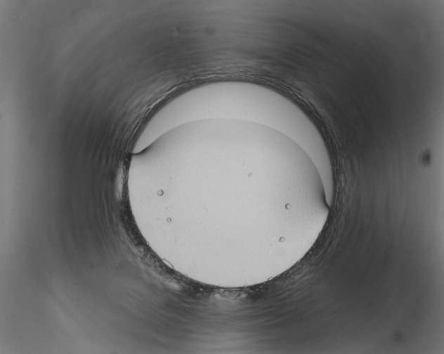 X0000115100076200912081308