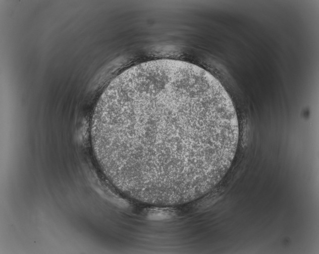 X0000115100077200912081308