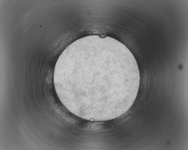 X0000115100078200912081308