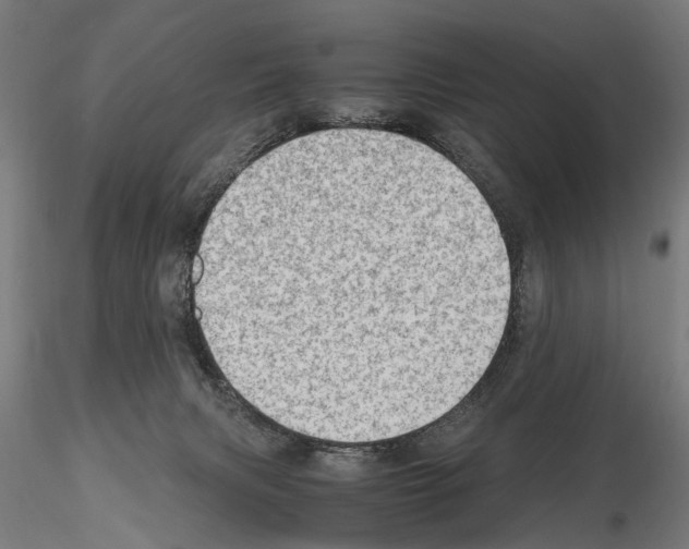 X0000115100079200912081308