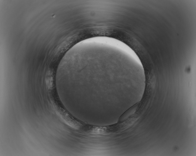 X0000115100080200912081308