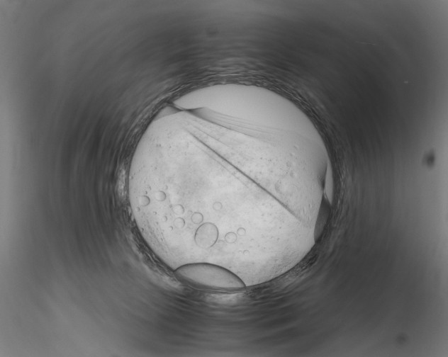 X0000115100081200912081309