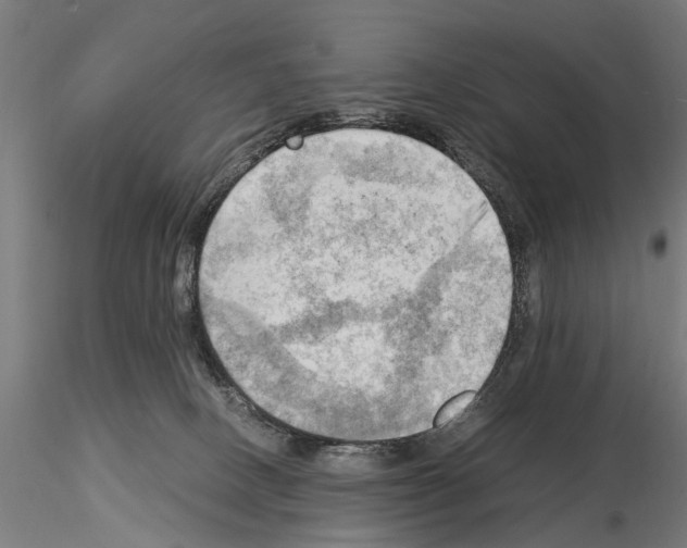 X0000115100082200912081309