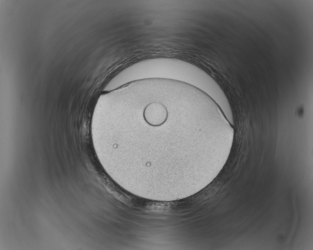 X0000115100084200912081309