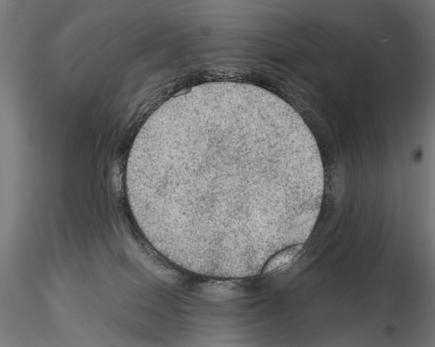 X0000115100086200912081309