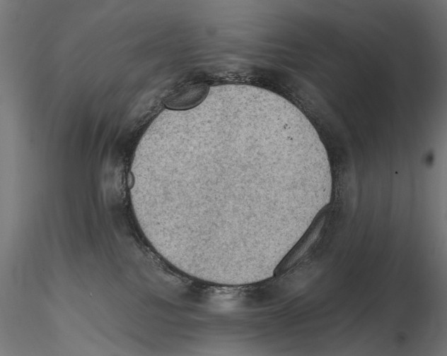 X0000115100088200912081309