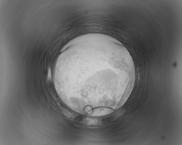 X0000115100089200912081309