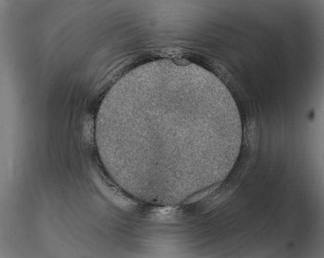 X0000115100092200912081309