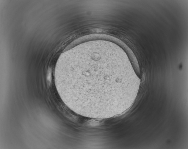 X0000115100094200912081309