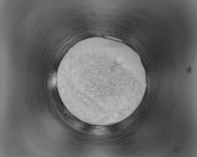 X0000115100095200912081309