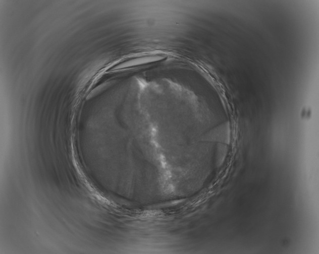 X0000115100097200912081308