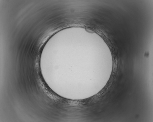 X0000115100098200912081308