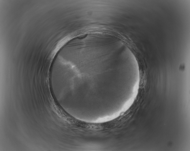 X0000115100099200912081308