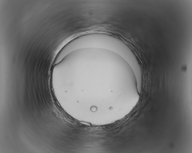 X0000115100100200912081308