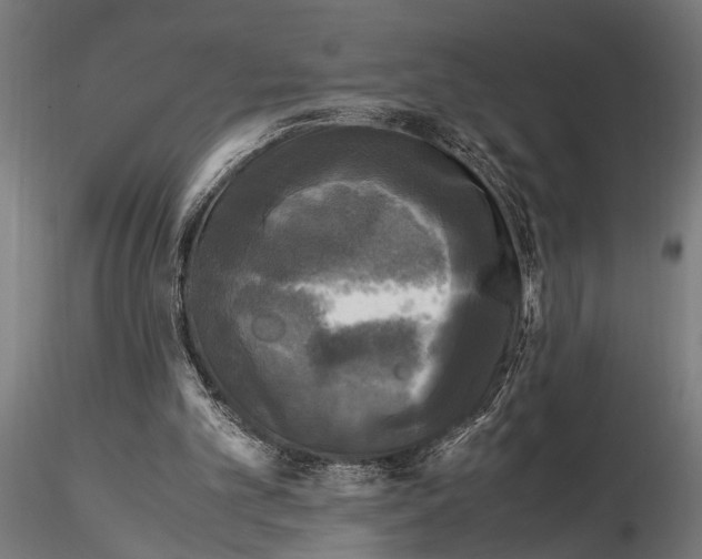 X0000115100101200912081308