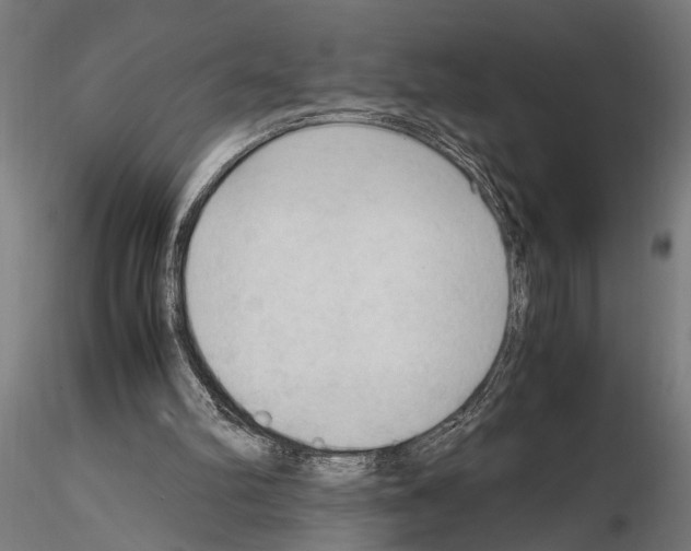 X0000115100102200912081308