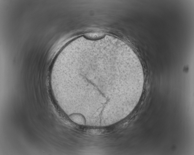 X0000115100103200912081308