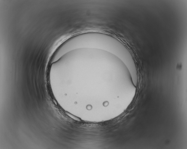 X0000115100104200912081308