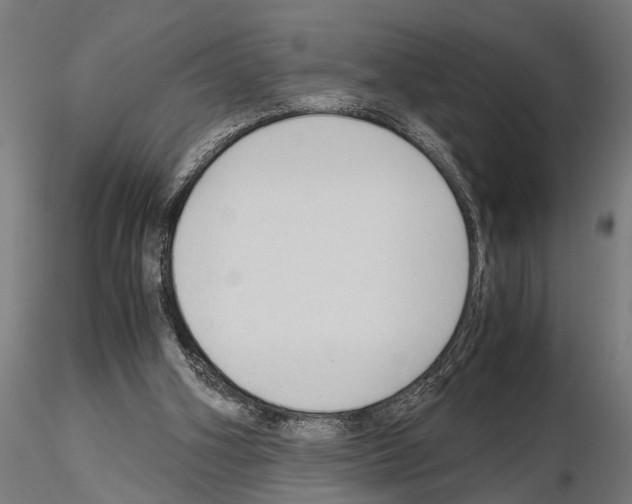 X0000115100106200912081308