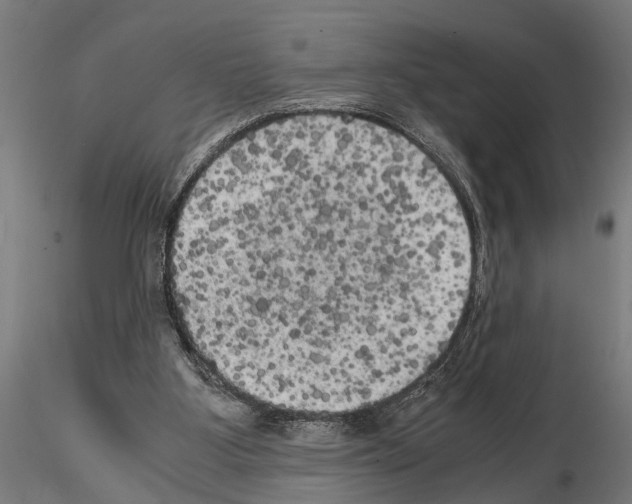 X0000115100107200912081308