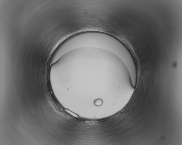 X0000115100108200912081308